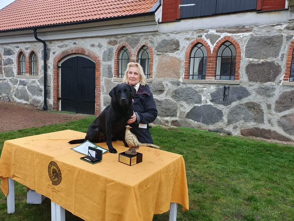 Tina och Sam